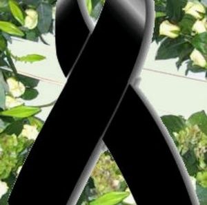 Meet your Posher, Yolanda